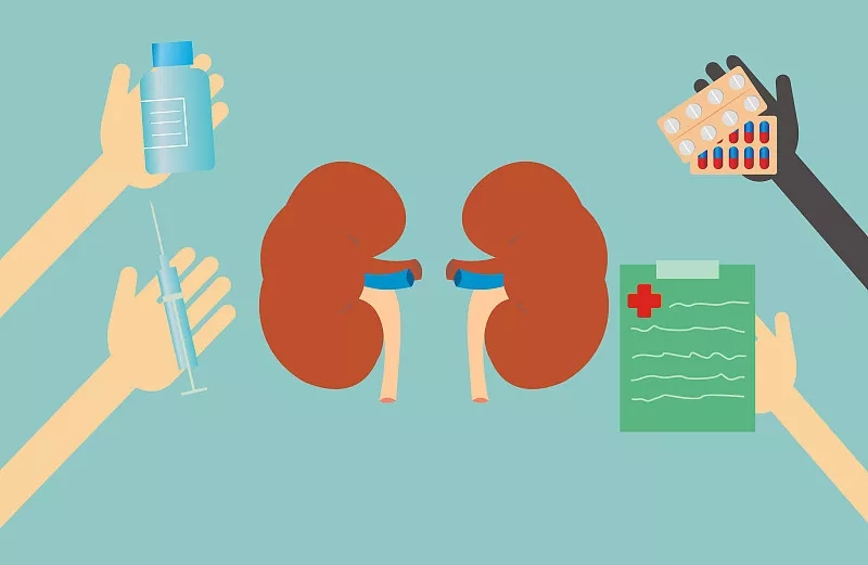 間充質干細胞治療糖尿病腎病的潛力概述 間充質干細胞治療糖尿病腎病的潛力概述