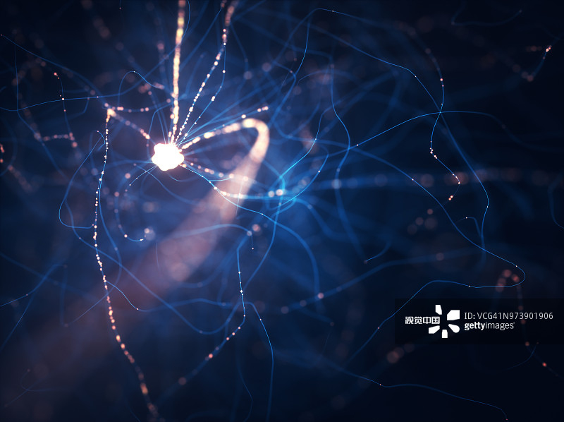 神經(jīng)干細(xì)胞移植在脊髓損傷修復(fù)中的作用及應(yīng)用 神經(jīng)干細(xì)胞移植在脊髓損傷修復(fù)中的作用及應(yīng)用