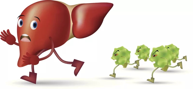 臍帶間充質干細胞治療肝病的應用 臍帶間充質干細胞治療肝病的應用