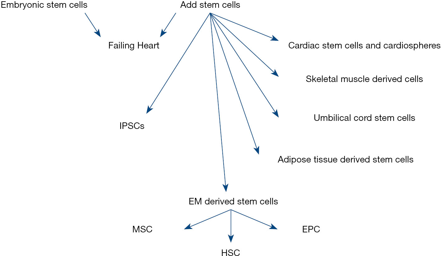 用于心臟再生的干細(xì)胞種類 用于心臟再生的干細(xì)胞種類