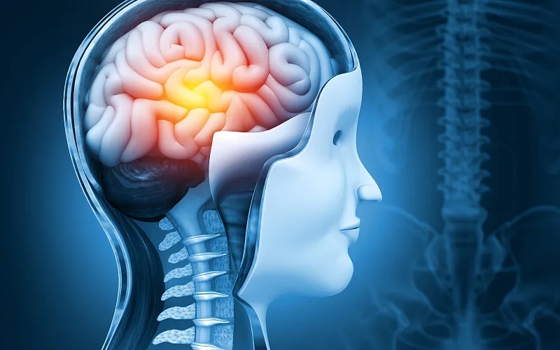 干細(xì)胞療法和大腦神經(jīng)系統(tǒng)疾病:真相是什么?