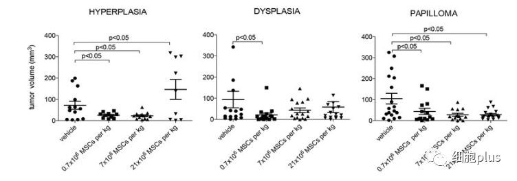 3?低劑量全身施用同種異體間充質干細胞預防腫瘤生長 3?低劑量全身施用同種異體間充質干細胞預防腫瘤生長