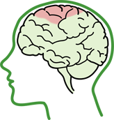 運(yùn)動(dòng)皮層損傷大