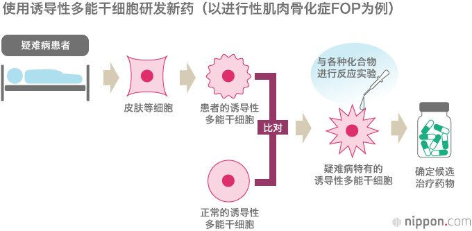 誘導多能干細胞