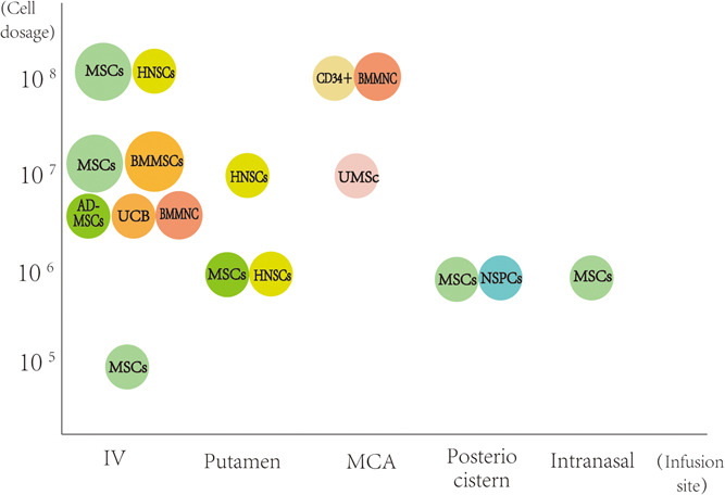 圖1:臨床試驗中細胞類型、劑量和輸注部位之間關系的可視化 圖1:臨床試驗中細胞類型、劑量和輸注部位之間關系的可視化
