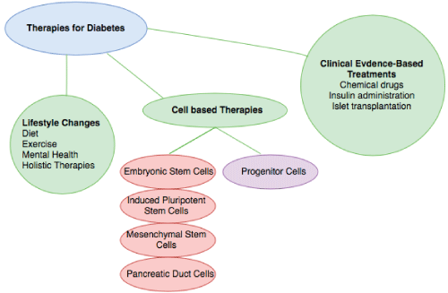 糖尿病的當(dāng)前療法 糖尿病的當(dāng)前療法