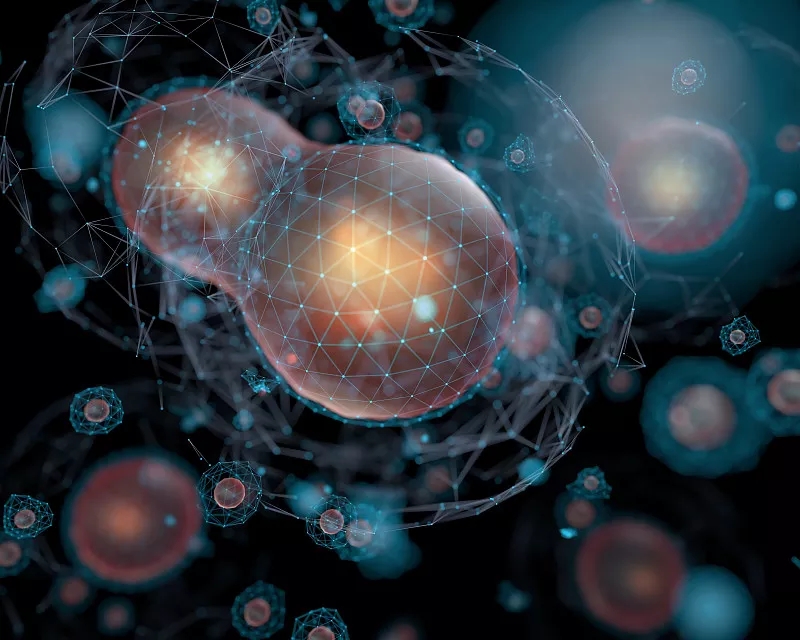 為什么對干細(xì)胞有爭議? 為什么對干細(xì)胞有爭議?