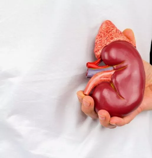 腎衰竭的原因有哪些? 腎衰竭的原因有哪些?