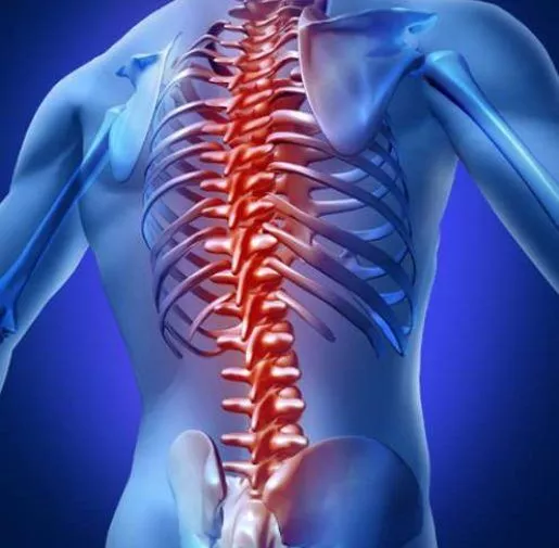 什么是脊髓損傷? 什么是脊髓損傷?