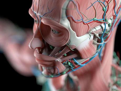 人類是由什么構(gòu)成的 人類是由什么構(gòu)成的