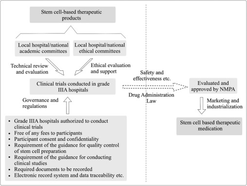 圖1。雙軌制監管體制運行模式 圖1。雙軌制監管體制運行模式