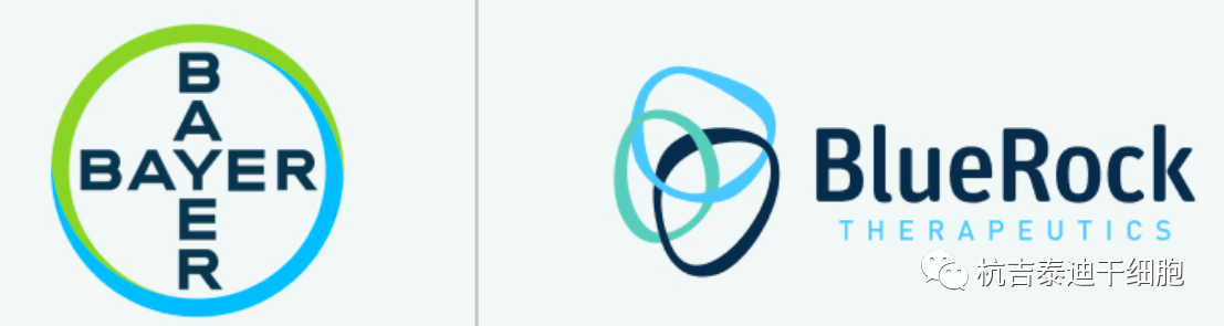 拜耳表示神經元干細胞療法治療帕金森病:首個1期臨床試驗取得積極結果 拜耳表示神經元干細胞療法治療帕金森病:首個1期臨床試驗取得積極結果