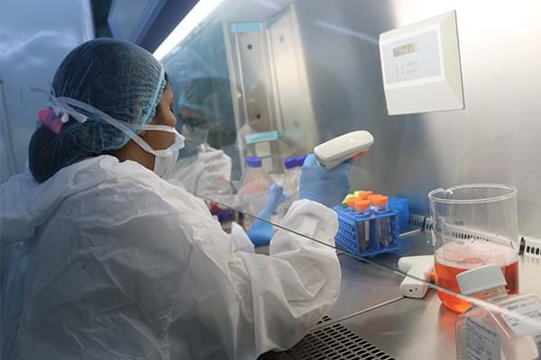 干細(xì)胞移植的具體程序 干細(xì)胞移植的具體程序