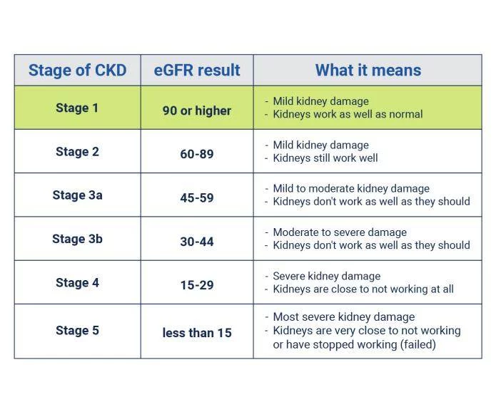 了解有關慢性腎病各個階段的更多信息 了解有關慢性腎病各個階段的更多信息