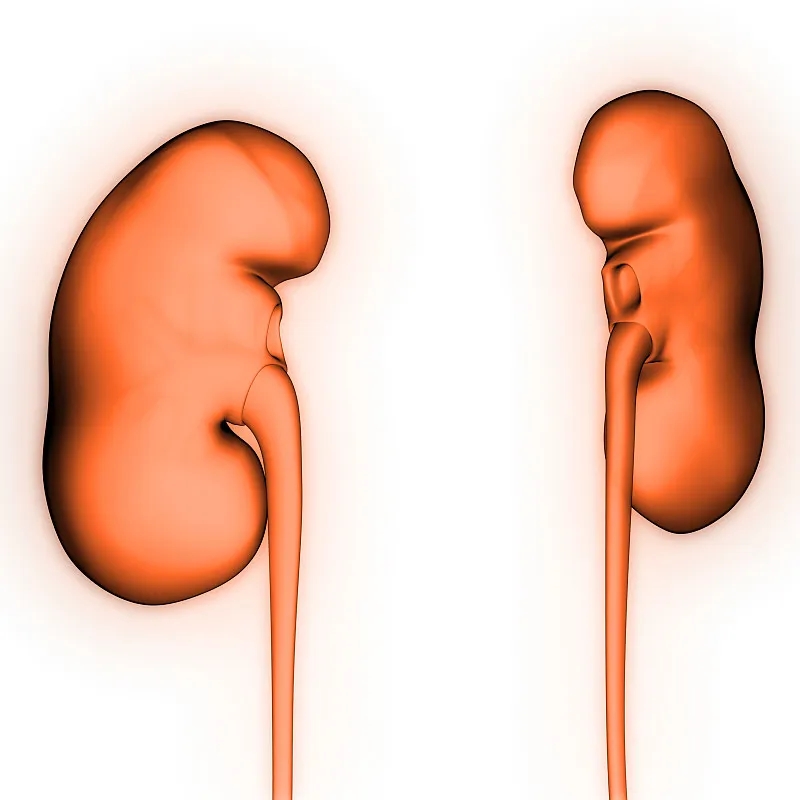 IgA腎病:癥狀-病因-診斷-飲食等 IgA腎病:癥狀-病因-診斷-飲食等