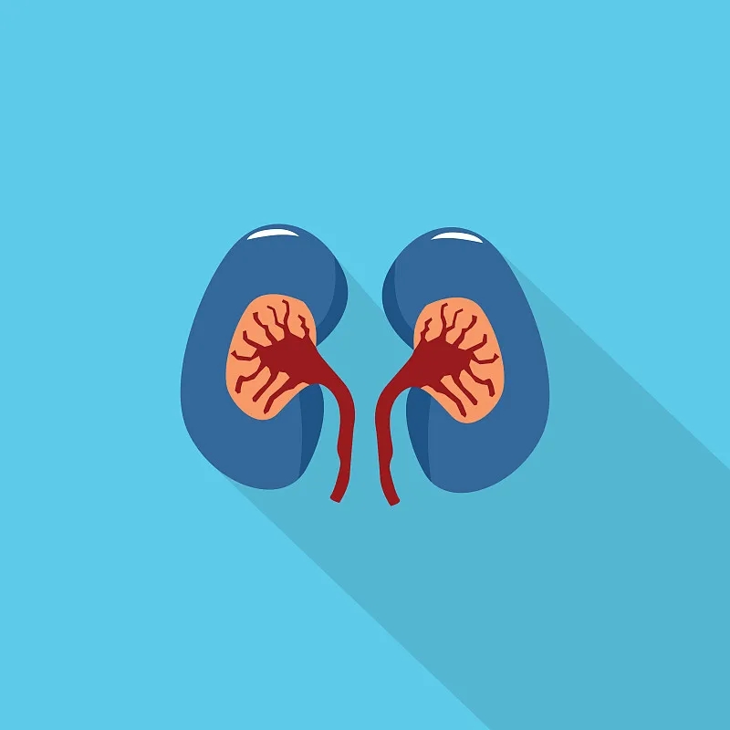 干細胞療法對狼瘡性腎炎和系統性紅斑狼瘡腎功能的療效 干細胞療法對狼瘡性腎炎和系統性紅斑狼瘡腎功能的療效