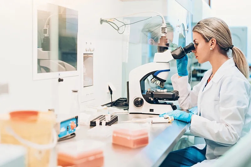 干細胞研究爭議:深入探討 (2023) 干細胞研究爭議:深入探討 (2023)