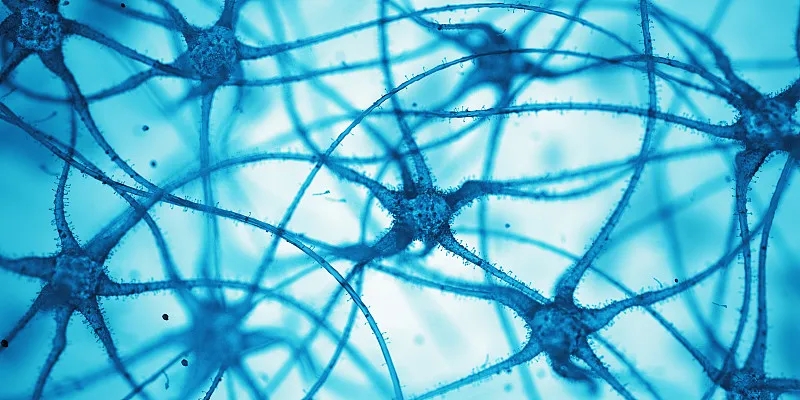 什么是神經細胞?為什么它們很重要? 什么是神經細胞?為什么它們很重要?