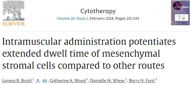 與其他途徑相比,肌肉注射可以延長間充質基質細胞的停留時間 與其他途徑相比,肌肉注射可以延長間充質基質細胞的停留時間