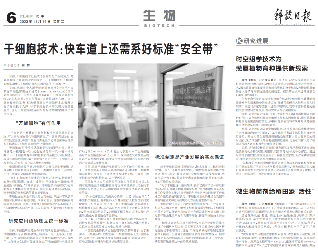 科技日報 | 干細胞技術:快車道上還需系好標準“安全帶” 科技日報 | 干細胞技術:快車道上還需系好標準“安全帶”