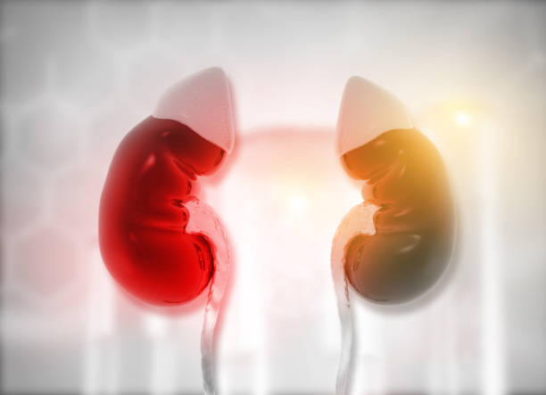 間充質(zhì)干細(xì)胞治療急性腎損傷的潛在優(yōu)勢(shì)