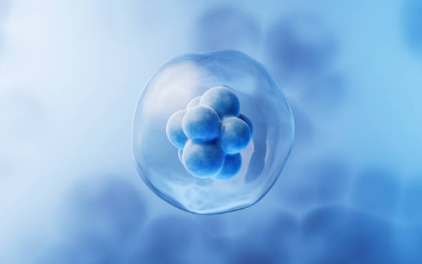 關于干細胞方面經(jīng)常問的問題有哪些？