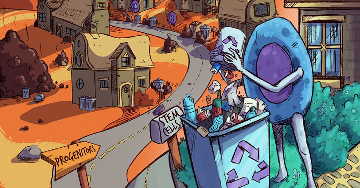 干細胞必須清除垃圾才能抵御衰老 干細胞必須清除垃圾才能抵御衰老