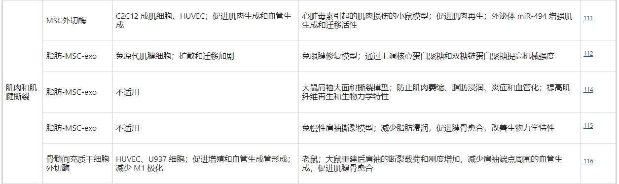 干細胞外泌體治療肌肉和肌腱撕裂 干細胞外泌體治療肌肉和肌腱撕裂