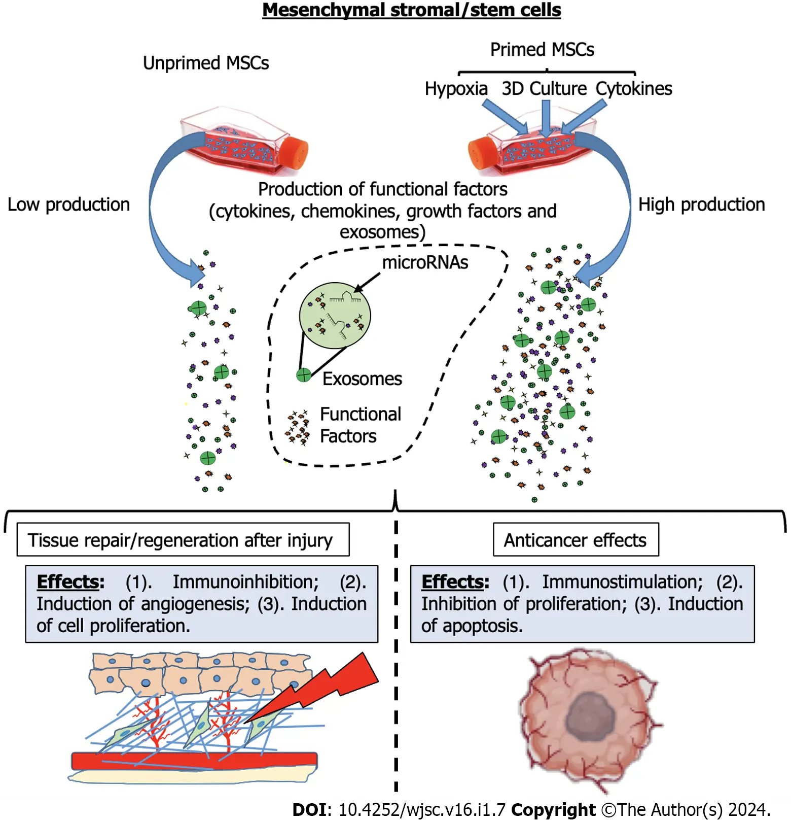 圖1:間充質基質/干細胞啟動后增強的治療效果的示意圖 圖1:間充質基質/干細胞啟動后增強的治療效果的示意圖