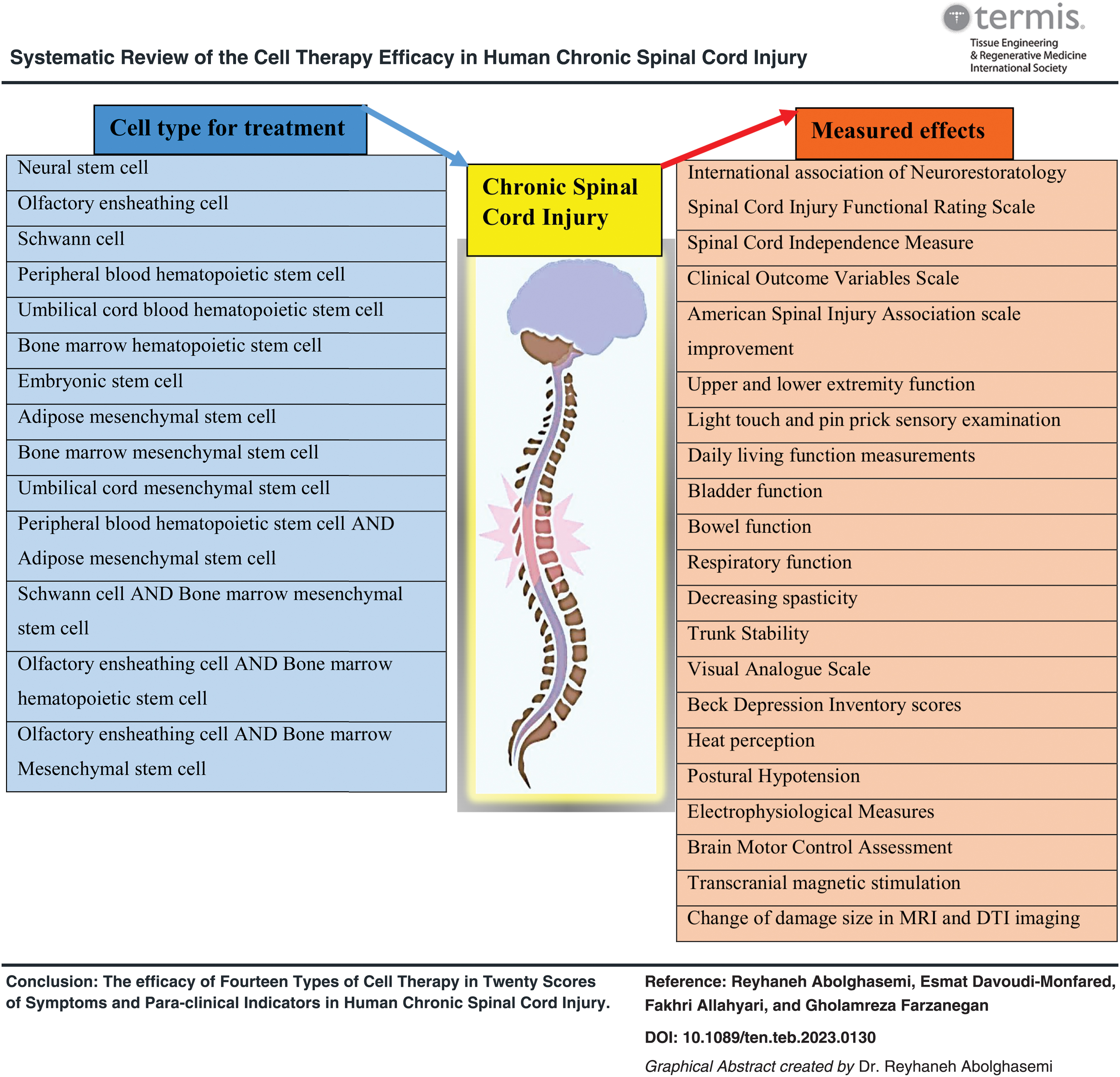 干細胞療法對人類慢性脊髓損傷療效的系統性綜述 干細胞療法對人類慢性脊髓損傷療效的系統性綜述