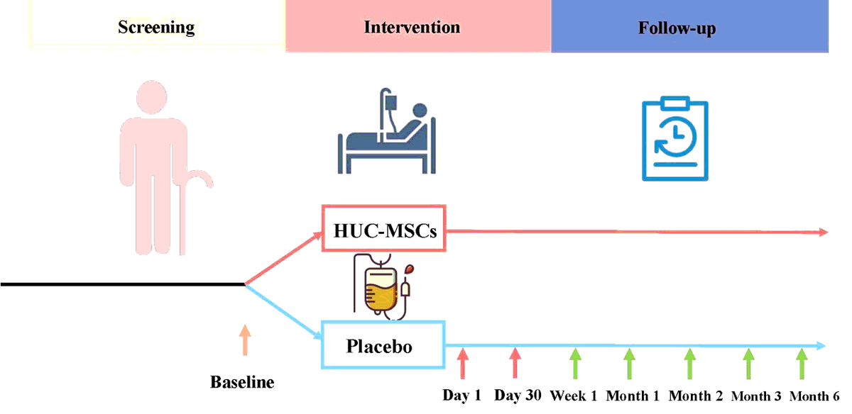圖1:所有評估均在首次靜脈輸注HUC-MSC后1周、1、2、3和6個(gè)月時(shí)進(jìn)行 圖1:所有評估均在首次靜脈輸注HUC-MSC后1周、1、2、3和6個(gè)月時(shí)進(jìn)行