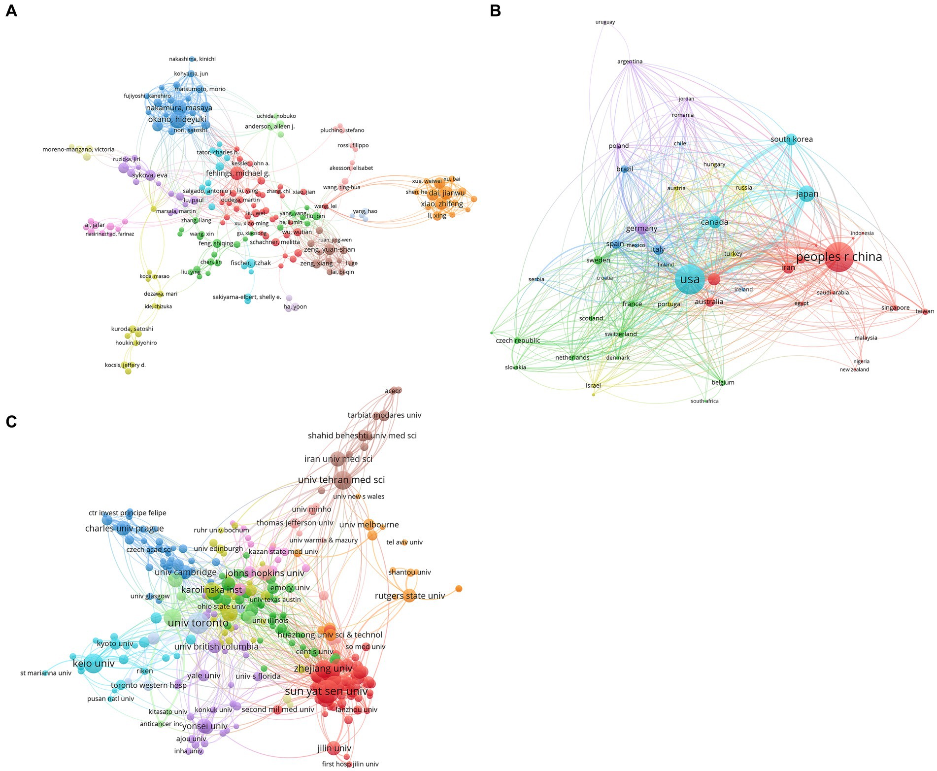 圖4:干細(xì)胞治療脊髓損傷研究的合著者分析。 圖4:干細(xì)胞治療脊髓損傷研究的合著者分析。