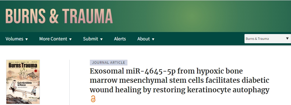 我國(guó)研究人員開(kāi)創(chuàng)了用于糖尿病傷口愈合的新型干細(xì)胞療法 我國(guó)研究人員開(kāi)創(chuàng)了用于糖尿病傷口愈合的新型干細(xì)胞療法