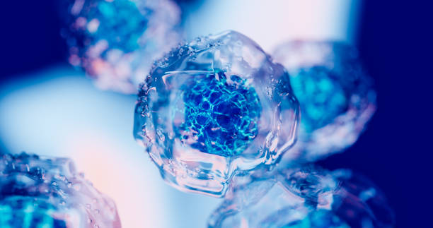 2024年重磅更新:藥監(jiān)局公布間充質(zhì)干細(xì)胞新藥,適應(yīng)治療的46種疾病名單! 2024年重磅更新:藥監(jiān)局公布間充質(zhì)干細(xì)胞新藥,適應(yīng)治療的46種疾病名單!