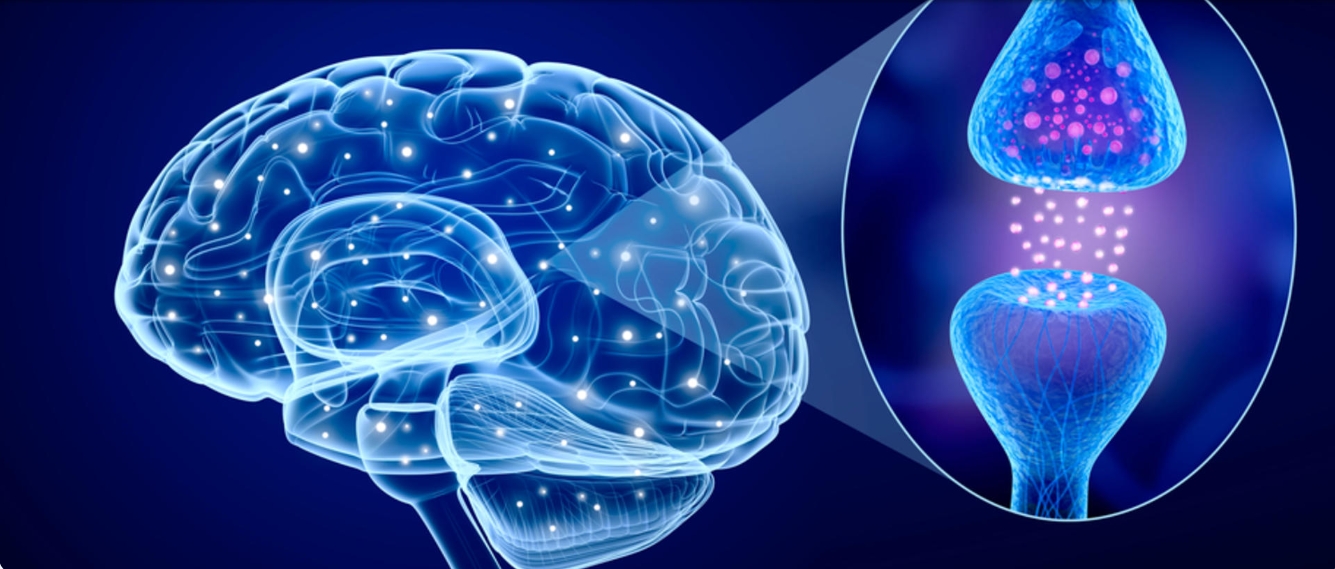 早期干細(xì)胞治療帕金森病試驗(yàn)公布積極結(jié)果 早期干細(xì)胞治療帕金森病試驗(yàn)公布積極結(jié)果