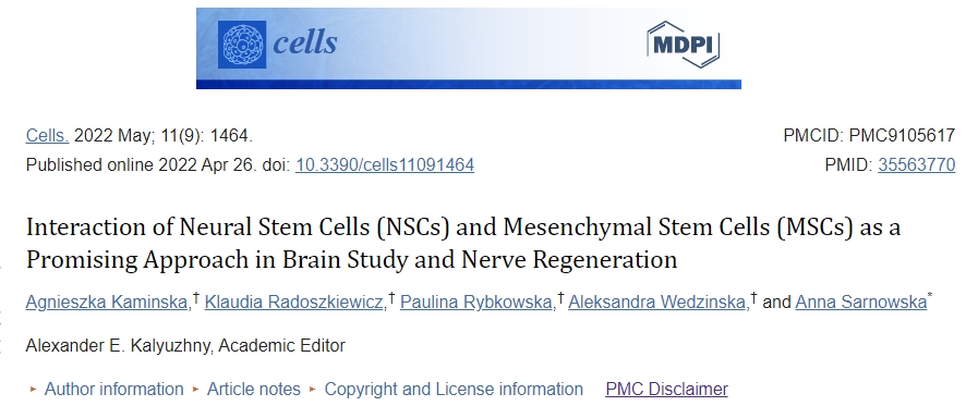 神經(jīng)干細胞 (NSC) 和間充質(zhì)干細胞 (MSC) 的相互作用作為大腦研究和神經(jīng)再生的一種有前途的方法 神經(jīng)干細胞 (NSC) 和間充質(zhì)干細胞 (MSC) 的相互作用作為大腦研究和神經(jīng)再生的一種有前途的方法