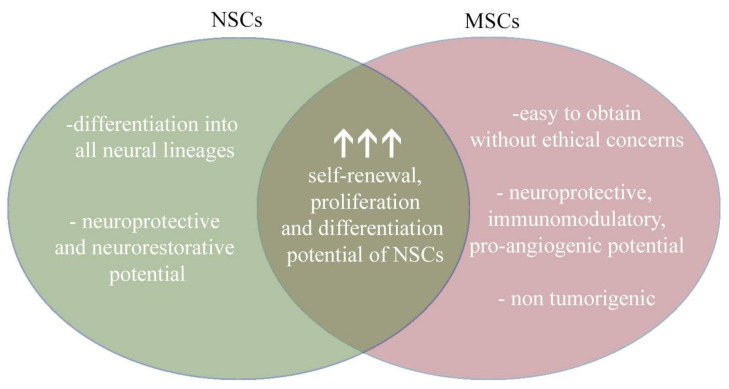 圖4:將神經(jīng)干細胞和間充質(zhì)干細胞的治療益處相結(jié)合,為治療提供了新的視角。 圖4:將神經(jīng)干細胞和間充質(zhì)干細胞的治療益處相結(jié)合,為治療提供了新的視角。