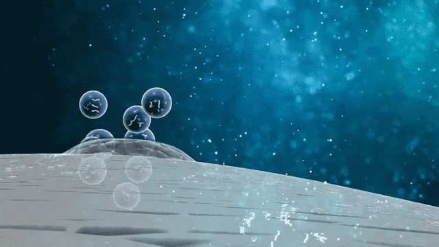 △MSCs可以通過與細胞間的相互作用,及旁分泌生物活性因子來完成機體的免疫調節 △MSCs可以通過與細胞間的相互作用,及旁分泌生物活性因子來完成機體的免疫調節