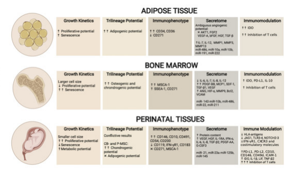 △?UC-MSC、AT-MSC及BM-MSC生物差異性對比,圖中額外增加表面標志物對比 △?UC-MSC、AT-MSC及BM-MSC生物差異性對比,圖中額外增加表面標志物對比