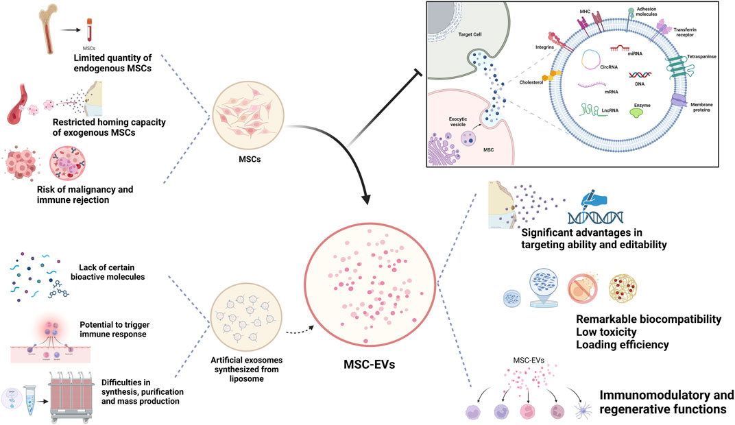 圖1:MSC-Exos作為藥物載體的生物學優勢。 圖1:MSC-Exos作為藥物載體的生物學優勢。