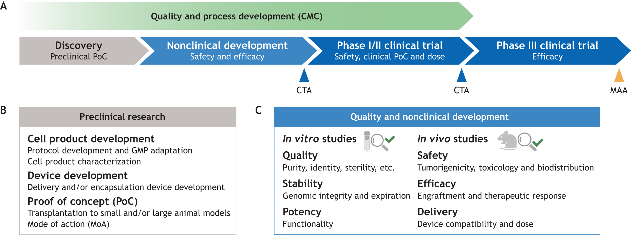 圖1:將細(xì)胞療法應(yīng)用于臨床的步驟。 圖1:將細(xì)胞療法應(yīng)用于臨床的步驟。