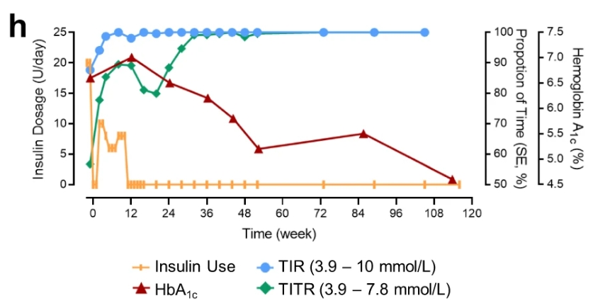 116周期間 TITR、TIR 和 HbA1c 以及胰島素劑量的臨床測量值 116周期間 TITR、TIR 和 HbA1c 以及胰島素劑量的臨床測量值