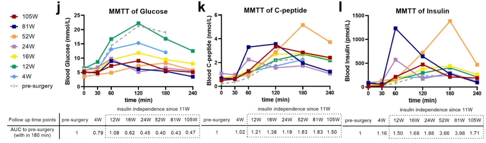 來自 MMTT 測定的血清空腹和進餐刺激的循環葡萄糖、C 肽和胰島素水平 來自 MMTT 測定的血清空腹和進餐刺激的循環葡萄糖、C 肽和胰島素水平