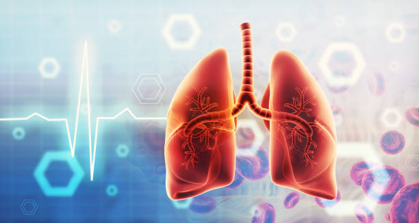 肺纖維化:干細(xì)胞治療是前進(jìn)的方向嗎? 肺纖維化:干細(xì)胞治療是前進(jìn)的方向嗎?