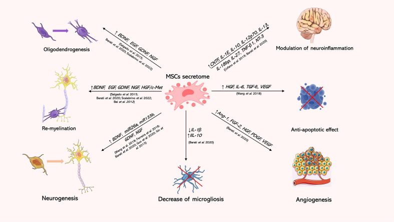 MSCs衍生的EV的給藥也已在不同的神經和精神疾病領域進行了探索 MSCs衍生的EV的給藥也已在不同的神經和精神疾病領域進行了探索