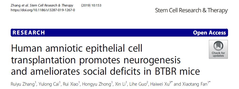 人類羊膜上皮細(xì)胞移植促進(jìn) BTBR 小鼠的神經(jīng)發(fā)生并改善社交缺陷 人類羊膜上皮細(xì)胞移植促進(jìn) BTBR 小鼠的神經(jīng)發(fā)生并改善社交缺陷