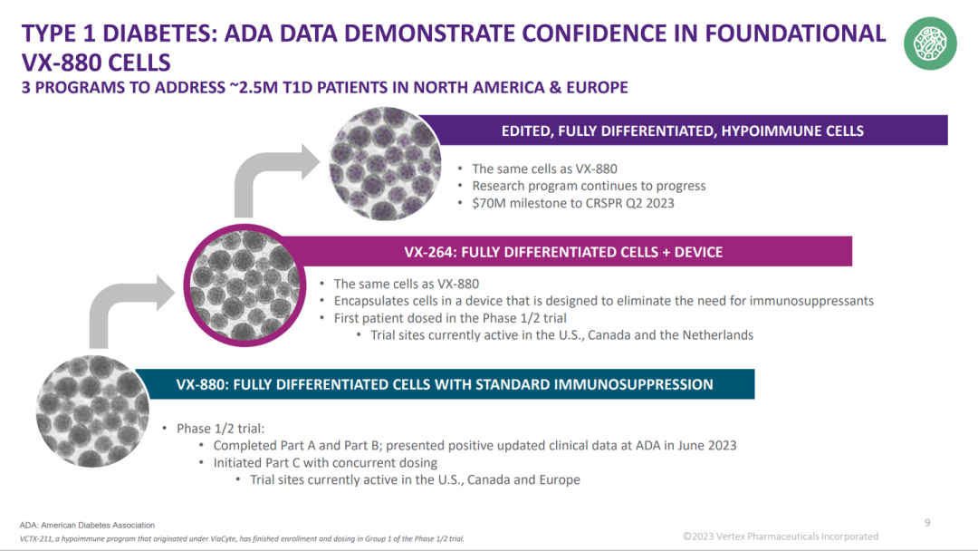 圖1:VERTEX糖尿病干細(xì)胞管線 圖1:VERTEX糖尿病干細(xì)胞管線