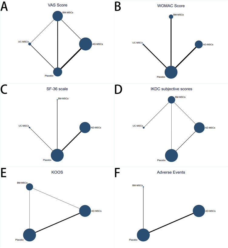 圖3：符合條件的研究的網(wǎng)絡幾何形狀。