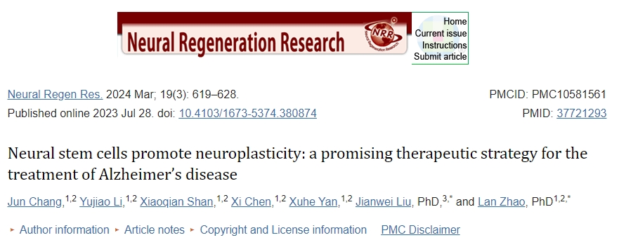 神經(jīng)干細(xì)胞促進(jìn)神經(jīng)可塑性:一種治療阿爾茨海默病的有前途的治療策略 神經(jīng)干細(xì)胞促進(jìn)神經(jīng)可塑性:一種治療阿爾茨海默病的有前途的治療策略