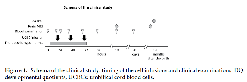 自體臍帶血回輸治療HIE臨床研究方案 自體臍帶血回輸治療HIE臨床研究方案